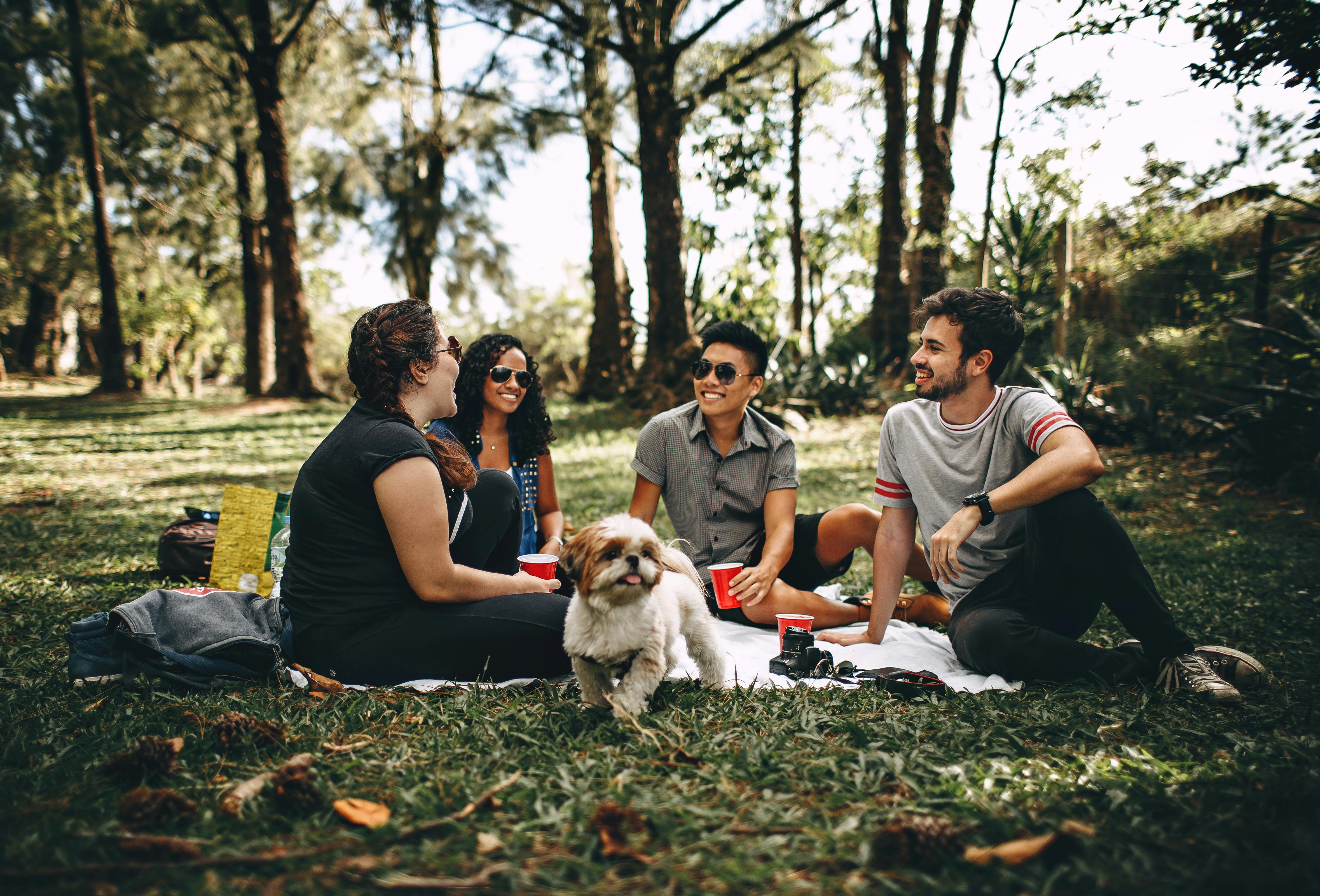 Visa Group